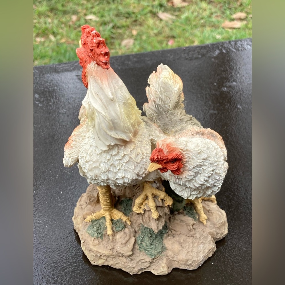 Beautiful white rooster with his mate